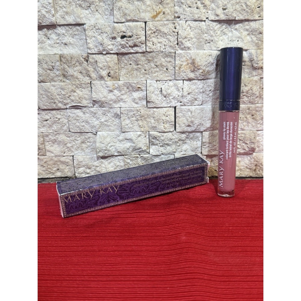 Mary Kay Glossy Lip Stain ~ Enchanted Mauve ~ # 065259 NIB DISCONTINUED